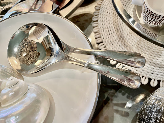 Stainless Steel Silver Salad Set